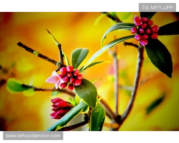 3. 探索最新的live22老虎机游戏版本带来的创新玩法与丰富奖励